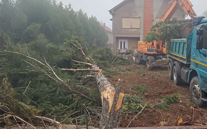 Raščišćavanje terena
